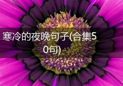 寒冷的夜晚句子(合集50句)