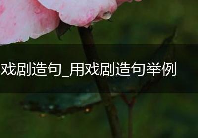 戏剧造句_用戏剧造句举例