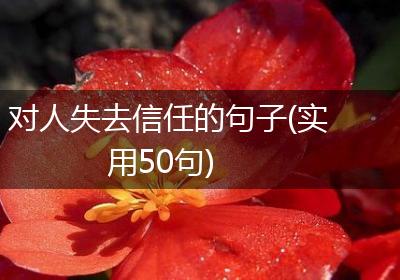 对人失去信任的句子(实用50句)