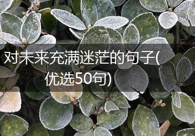 对未来充满迷茫的句子(优选50句)