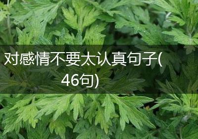 对感情不要太认真句子(46句)