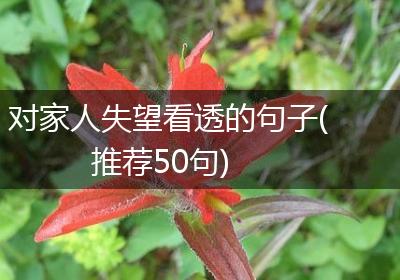 对家人失望看透的句子(推荐50句)