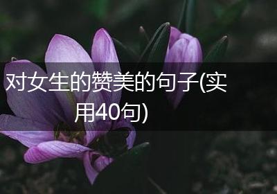 对女生的赞美的句子(实用40句)