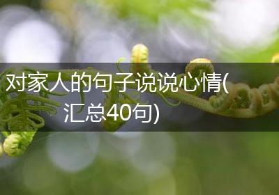 对家人的句子说说心情(汇总40句)