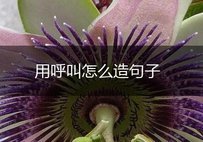 用呼叫怎么造句子