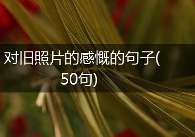 对旧照片的感慨的句子(50句)