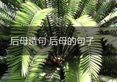 后母造句 后母的句子
