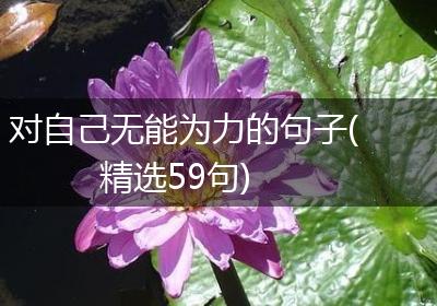 对自己无能为力的句子(精选59句)