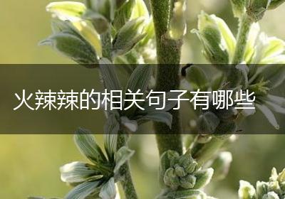 火辣辣的相关句子有哪些