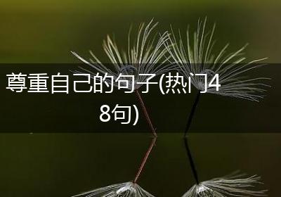尊重自己的句子(热门48句)