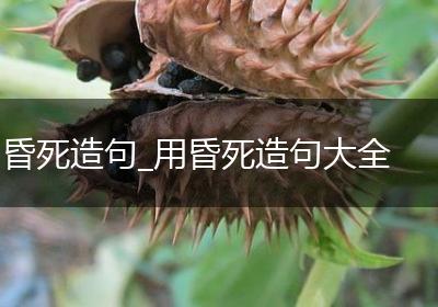 昏死造句_用昏死造句大全