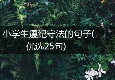 小学生遵纪守法的句子(优选25句)