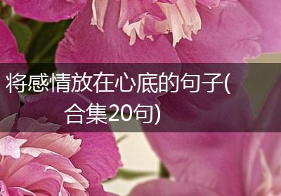 将感情放在心底的句子(合集20句)