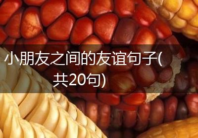 小朋友之间的友谊句子(共20句)