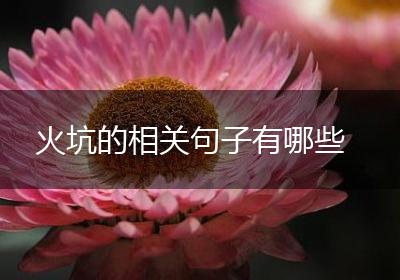 火坑的相关句子有哪些