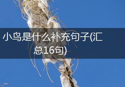 小鸟是什么补充句子(汇总16句)
