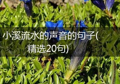 小溪流水的声音的句子(精选20句)