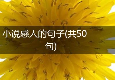 小说感人的句子(共50句)