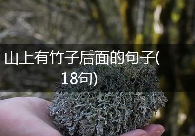 山上有竹子后面的句子(18句)