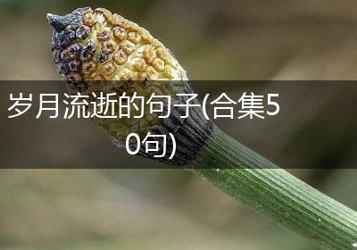 岁月流逝的句子(合集50句)
