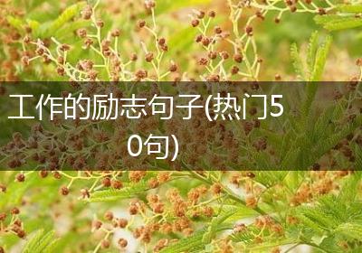 工作的励志句子(热门50句)