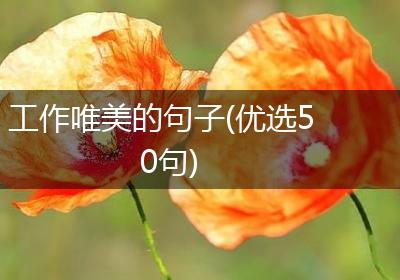 工作唯美的句子(优选50句)
