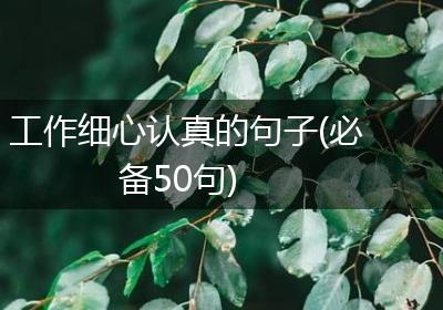 工作细心认真的句子(必备50句)