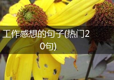 工作感想的句子(热门20句)