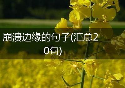 崩溃边缘的句子(汇总20句)