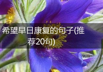 希望早日康复的句子(推荐20句)