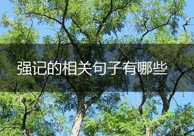 强记的相关句子有哪些