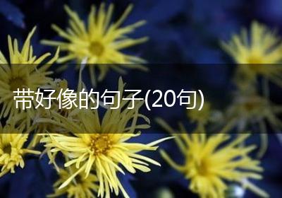 带好像的句子(20句)