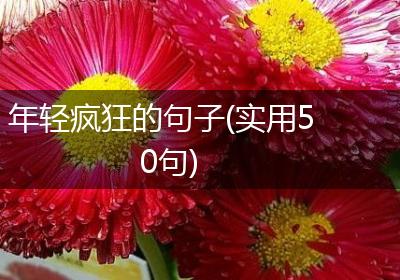 年轻疯狂的句子(实用50句)