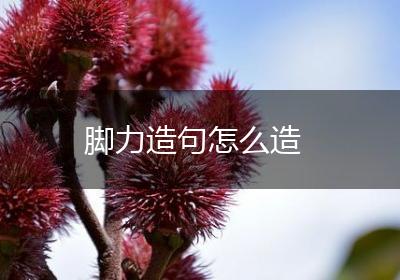 脚力造句怎么造