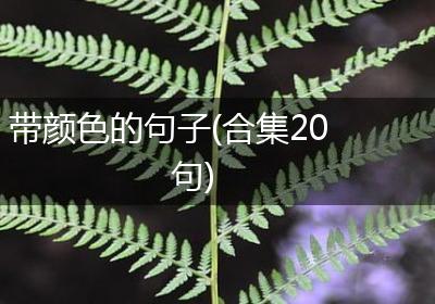 带颜色的句子(合集20句)