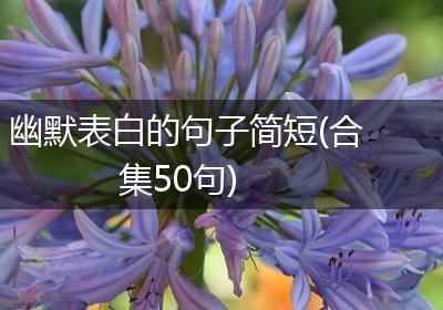 幽默表白的句子简短(合集50句)
