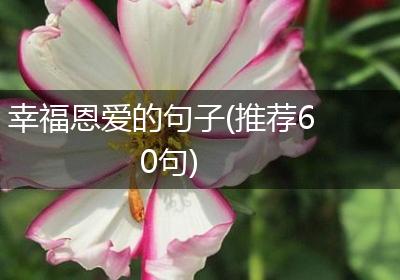 幸福恩爱的句子(推荐60句)