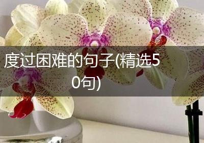 度过困难的句子(精选50句)