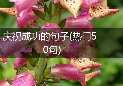 庆祝成功的句子(热门50句)