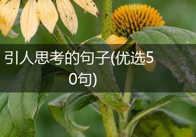 引人思考的句子(优选50句)