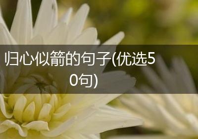 归心似箭的句子(优选50句)