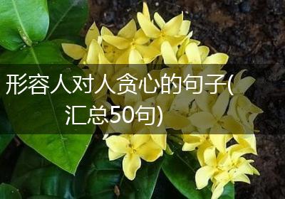 形容人对人贪心的句子(汇总50句)