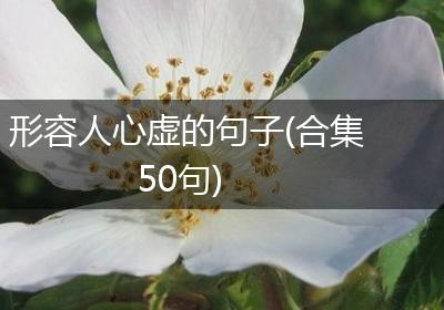 形容人心虚的句子(合集50句)