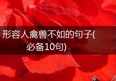 形容人禽兽不如的句子(必备10句)