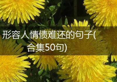 形容人情债难还的句子(合集50句)
