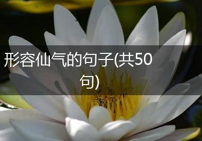 形容仙气的句子(共50句)
