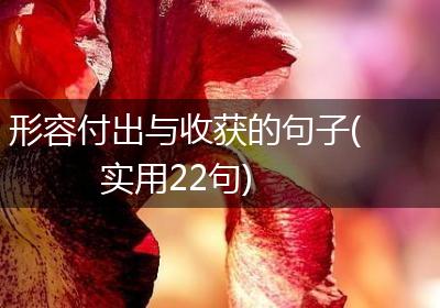 形容付出与收获的句子(实用22句)