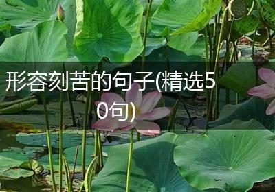 形容刻苦的句子(精选50句)