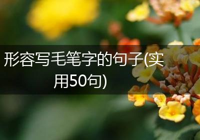 形容写毛笔字的句子(实用50句)
