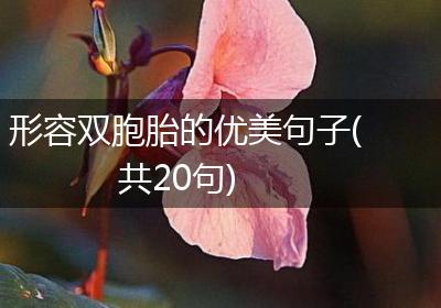 形容双胞胎的优美句子(共20句)